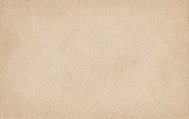 Dog Expecting Blame for Puddle from Dripping Umbrella - Humor