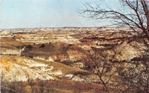 US6 USA Badland North Dakota Th Roosevelt National Park postcard