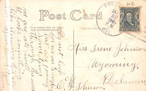 Butterfly & Flowers 1909 