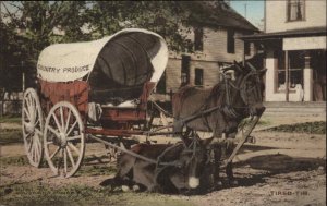 Southern Pines NC Donkey Cart Tired Tim Albertype Vintage Postcard