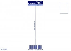 Devon Postcard - Salcombe Estuary & Fort Charles   RR22680