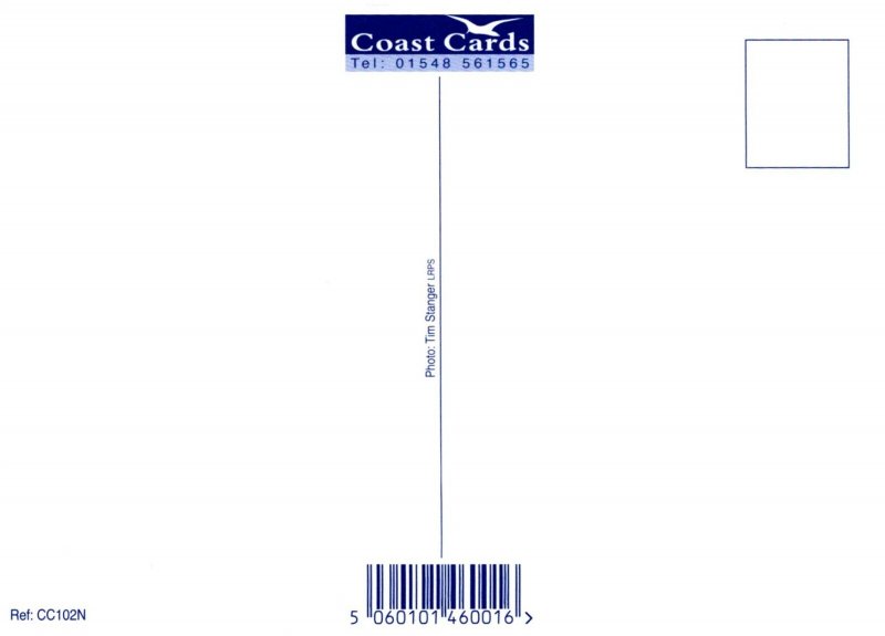 Devon Postcard - Salcombe Estuary & Fort Charles   RR22680