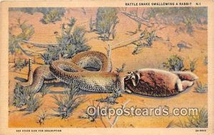 Rattle Snake, Rabbit Unused 