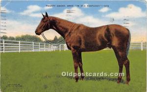 Mrs Payne Whitney's Greentree Farm Lexington, KY , USA Horse Racing 1947 Miss...