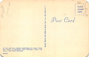 The White Pine Michigan State Tree White Pine State Tree MI 