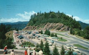 Vintage Postcard 1960's Newfound Gap Parking Area Great Smoky Mountains Park