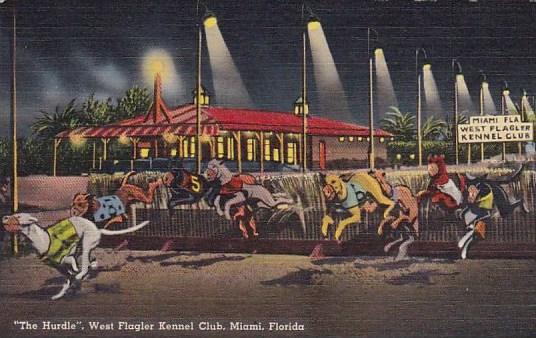 Florida Miami The Hurdle West Flagler Kennel Club