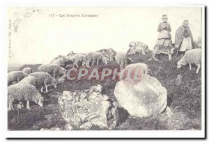 COPYRIGHT Old Postcard The bergeres creusoises (Creuse)