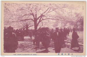 The Cherry Blossoms Of Ueno, JAPAN, 1900-1910s