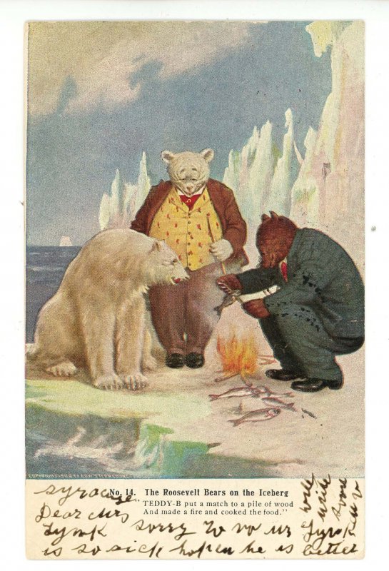 Roosevelt Bears (No. 14, First Series 1906, Stern) On the Iceberg