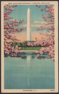 Washington Monument,Washington,DC Postcard