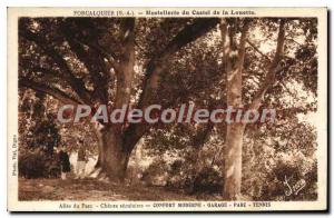 Postcard Old Forcalquier B A Hostellerle Castel of Louette Alle Park Chenes s...
