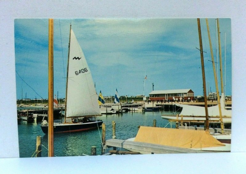 Dewey Beach Delaware Sailboat Postcard