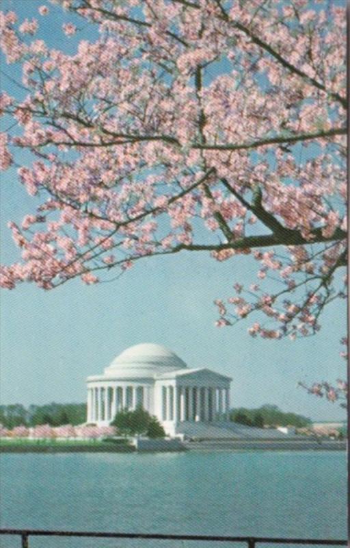 Washington D C Jefferson Memorial With Cherry Blossoms