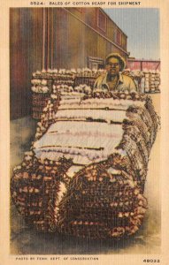 BLACK AMERICANA BALES OF COTTON READY FOR SHIPMENT TENNESSEE POSTCARD (1940s)
