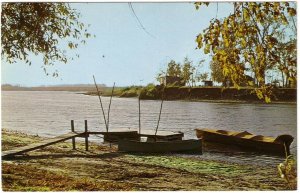 Shoreline Scene, Vintage 1986 Chrome Postcard