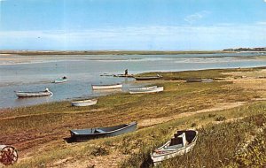 North Chatham Shore line at the foot of the Cow Yard - Cape Cod, Massachusett...