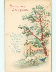 Divided-Back CHRISTMAS BIRDS SCENE Pretty Postcard W8544