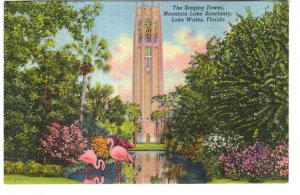 The Singing Tower, Flamingos, Mountain Lake Sanctuary, Lake Wales, Florida