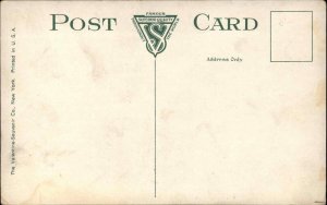 Auburn New York NY Execution Chamber Macabre Death Sentence c1910 Postcard 