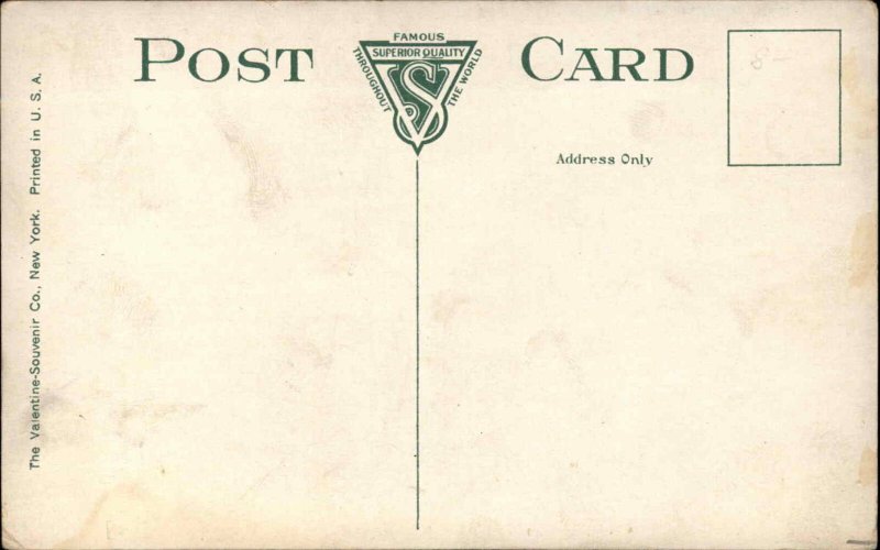 Auburn New York NY Execution Chamber Macabre Death Sentence c1910 Postcard 