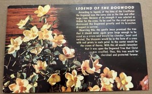 VINTAGE UNUSED POSTCARD LEGEND OF THE DOGWOOD