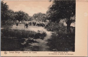 Congo Belge District de l'Uele Vintage Postcard C108