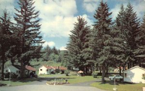 BC, Canada  MALAHAT TOURIST BUNGALOWS~Highway 1  ROADSIDE  Chrome Postcard