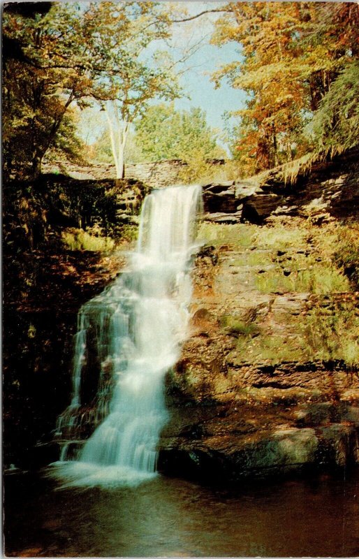 Greetings Norwich New York Scenic Waterfall Landscape Chrome Postcard 