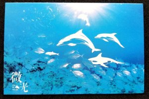 [AG] P403 Dolphin Fish Marine Life Ocean Underwater (postcard *glow in dark *New