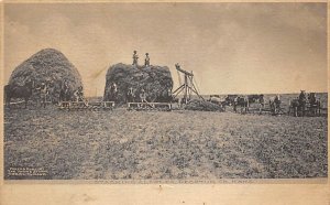 Stacking Alfalfa Decatur County, Kansas, USA Farming Unused 