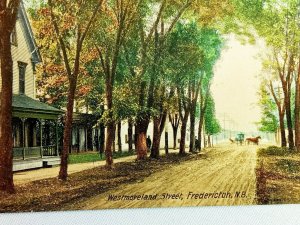 Vintage Postcard Westmoreland Street Dirt Road Lined with Trees Fredericton NB 