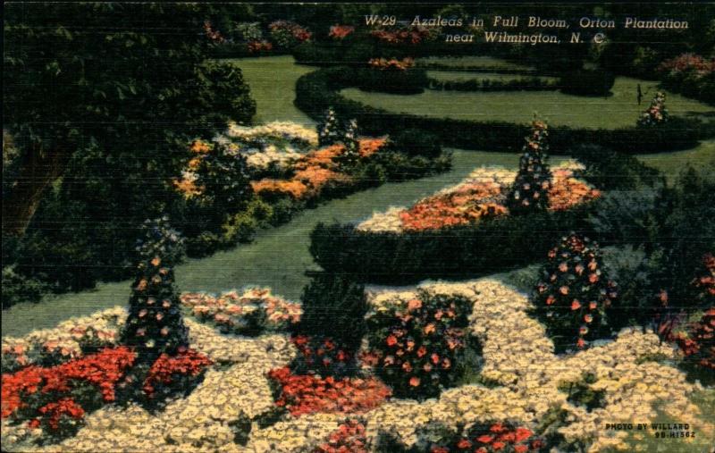 WILMINGTON NC, Orton Plantation, Gardens, 1950 Linen Vintage Postcard NC444398