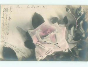 Old rppc FLOWERS SCENE Pretty Postcard AB2336