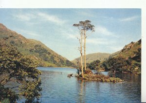 Scotland Postcard - Loch Eilt - Inverness-shire - Ref TZ8698