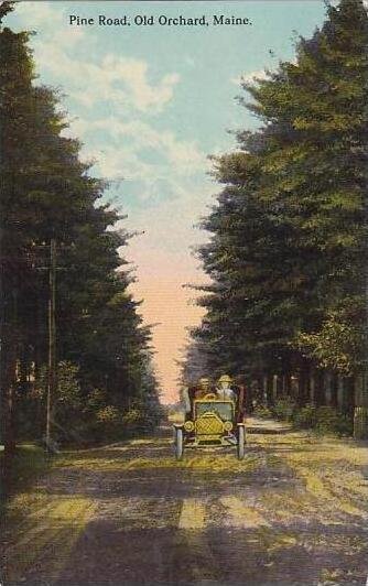 Maine Old Orchard Pine Road 1913