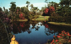 Postcard 1961 Thousands of Tropical Flowers Blossom Fairyland Cypress Gardens FL