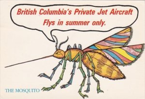 Canada The Mosquito British Columbia's Private Jet Aircraft Flys In Summ...