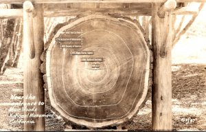 California Muir Woods National Monument Cross Cut Section Of Tree 1946 Real P...