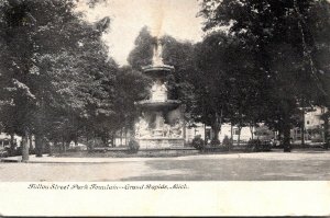 Michigan Grand Rapids Fulton Street Park Fountain 1917