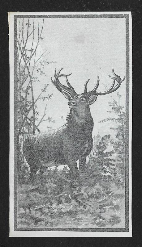 VICTORIAN TRADE CARD Buck with Antlers