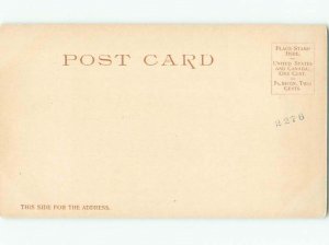 Unused Pre-1907 SCENE AT ELM PARK Worcester Massachusetts MA Q1520