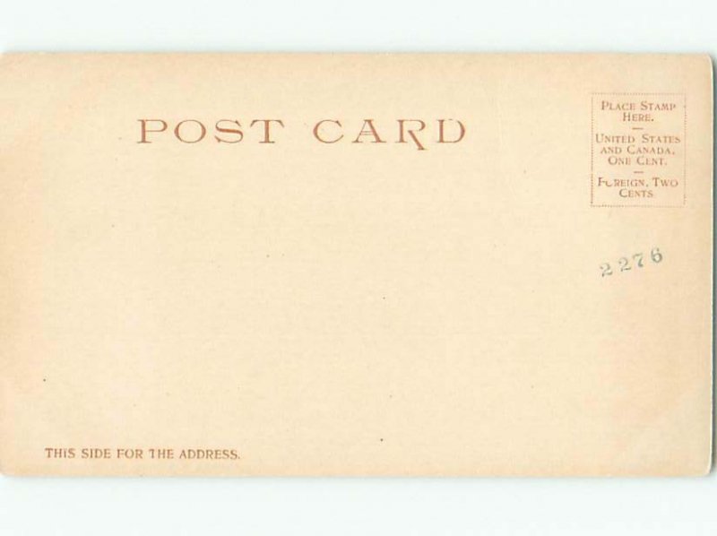 Unused Pre-1907 SCENE AT ELM PARK Worcester Massachusetts MA Q1520