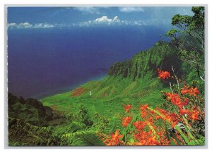 Postcard Kalalau Valley Island Of Kauai Hawaii Continental View