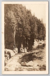 The Gorge West Chester Mass RPPC Real Photo c1920s MA Postcard M26