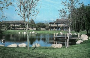 Vintage Rio Bravo Resort, Bakersfield, Calif. Postcard P130