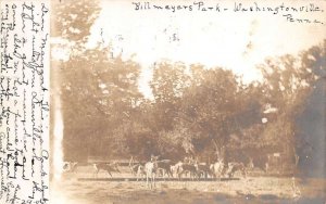Washingtonville Pennsylvania Billmeyer's Park Deer Vintage Postcard AA72040