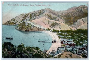 c1910 Town Bay Avalon Steamer Beach Santa Catalina Island California CA Postcard