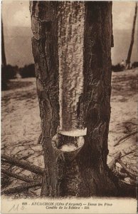 CPA La Foret d'ARCACHON-Dans les Pins Coulée de la Résine (27655)