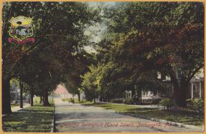 Jacksonville, FLA., Beautiful Springfield (Third Street) Tree Lined Street-1913